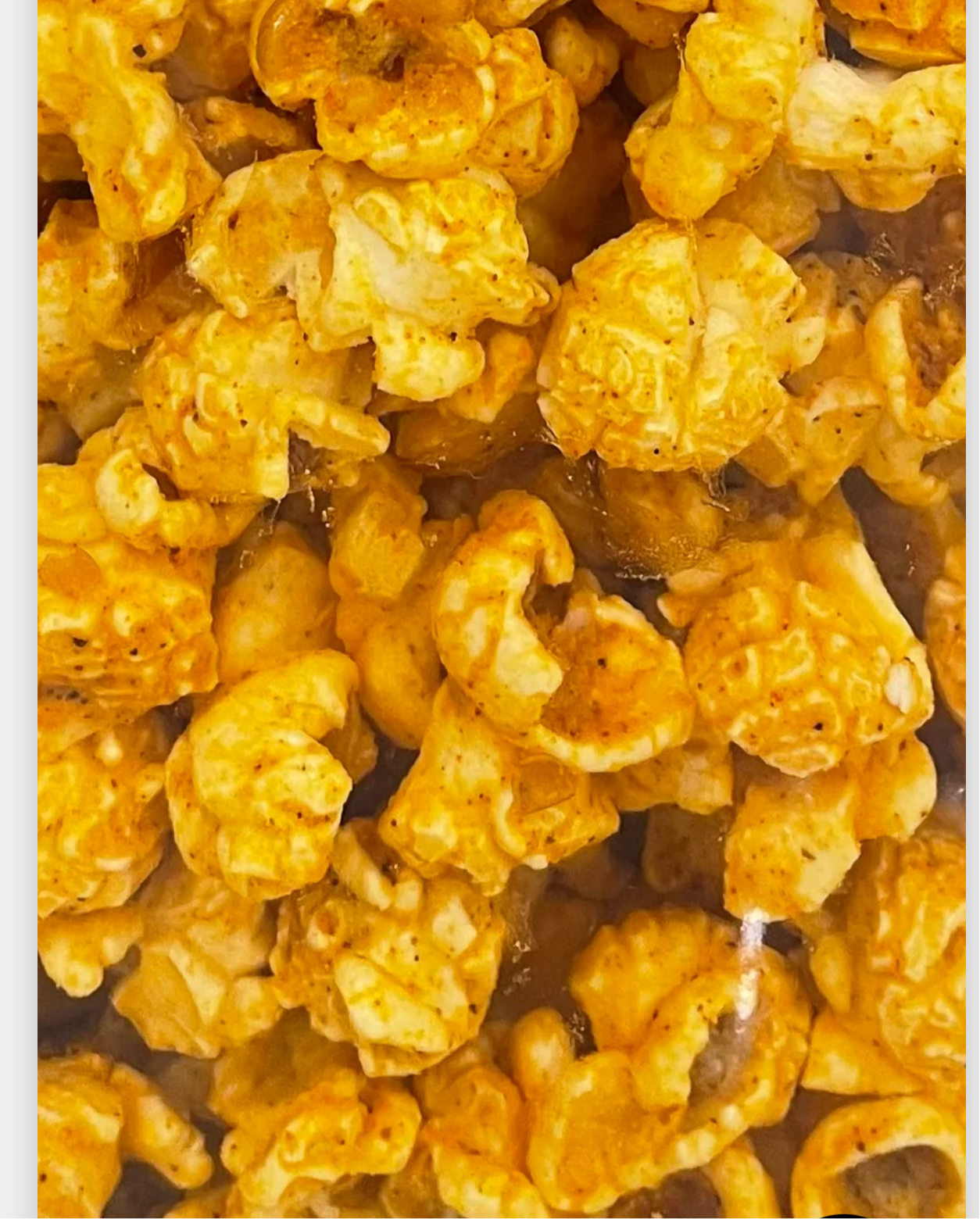 8 oz Gourmet Nacho Cheese